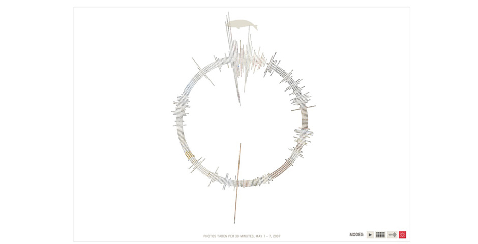 Webby Award Winner - The Whale Hunt