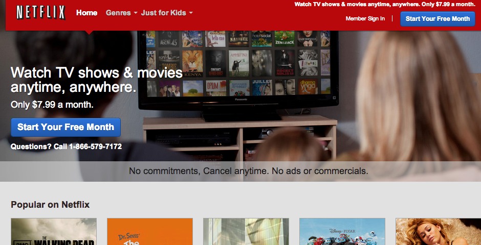 People's Voice / Webby Award Winner - Netflix