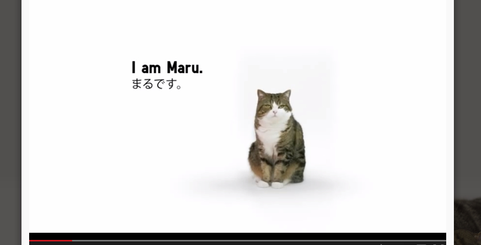 Nominee - UNIQLO – Lucky Cube with Maru