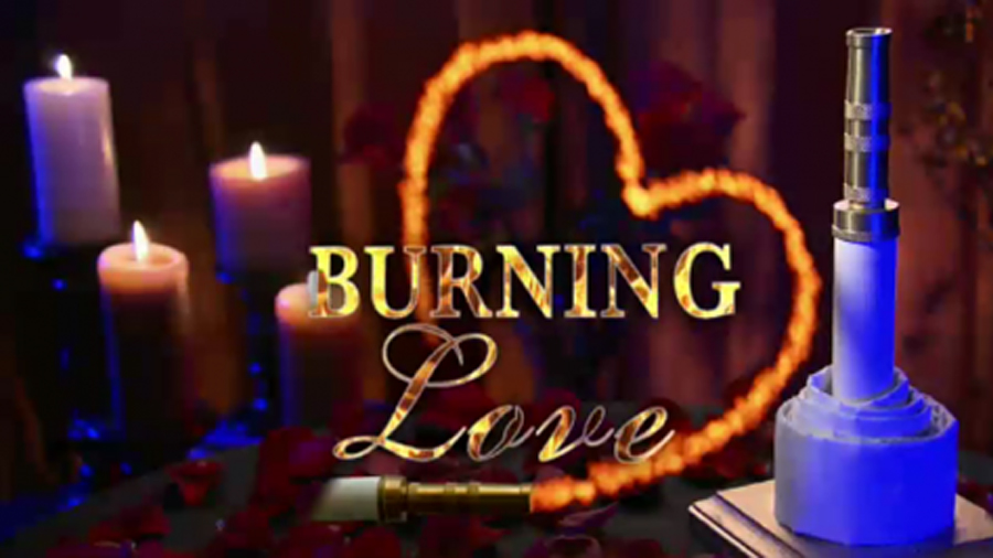 Webby Award Winner - Burning Love