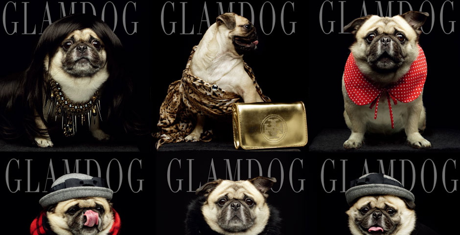 People's Voice - GLAMDOG
