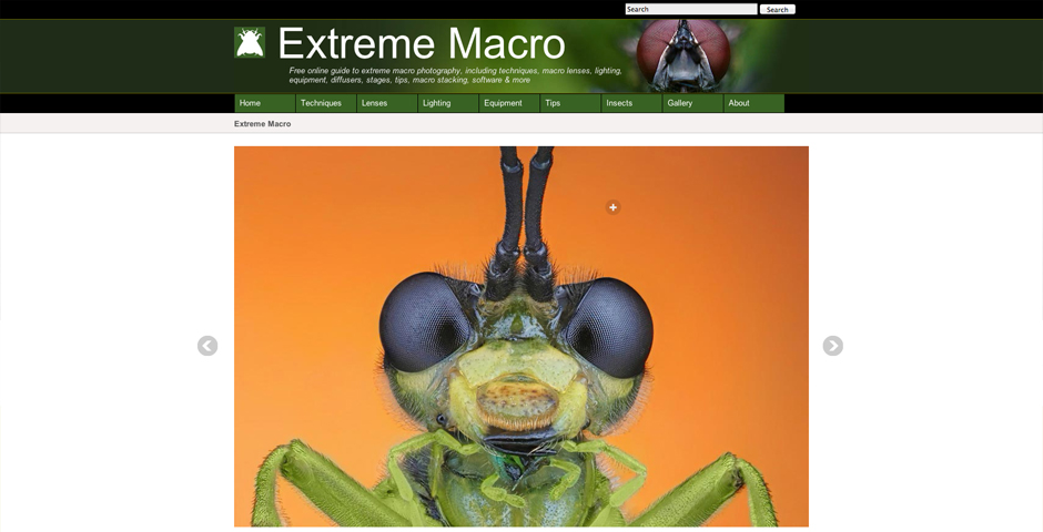 Nominee - extreme macro photography