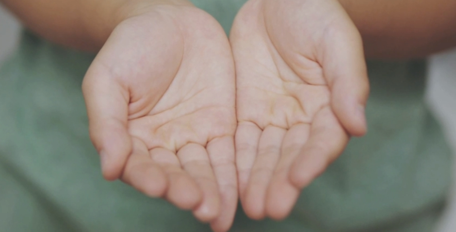 Webby Award Winner - Hands On Search