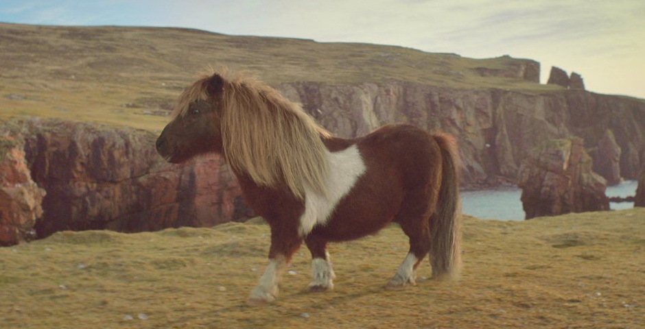 Nominee - Three ‘The Pony’