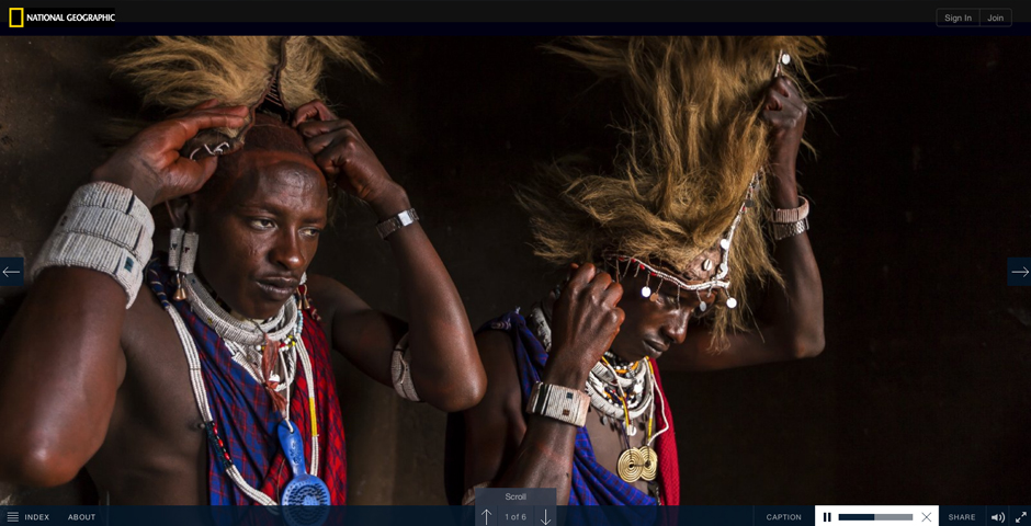 Webby Award Winner - The Serengeti Lion