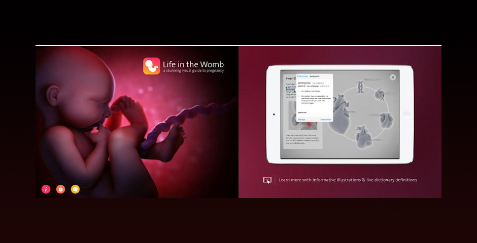 Nominee - Life in the Womb