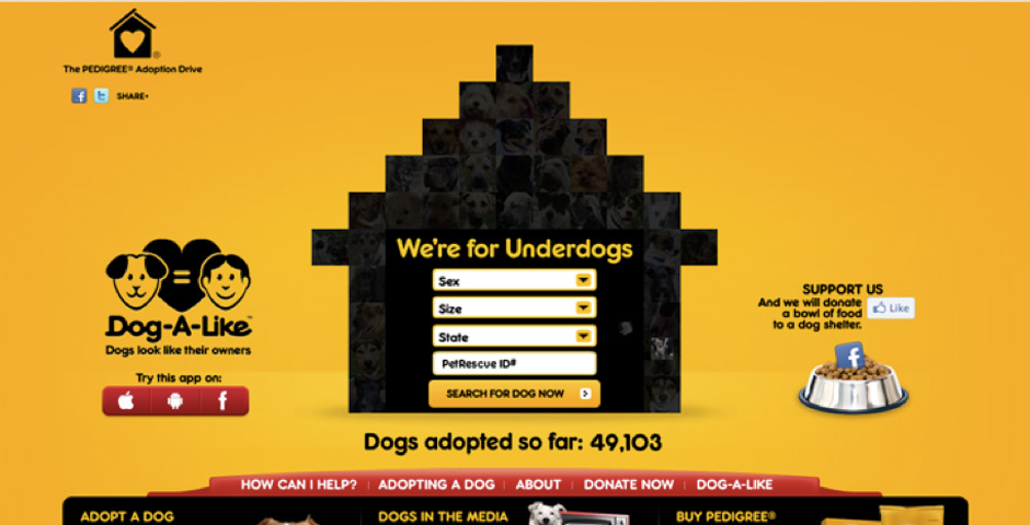 Nominee - Pedigree Adoption Drive