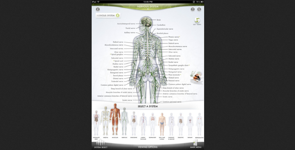 Webby Award Winner - The Human Body App