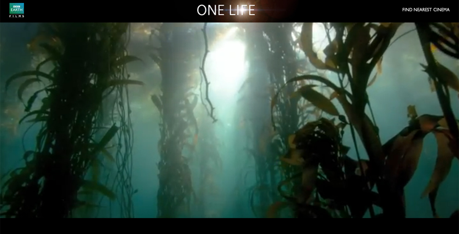 Nominee - BBC Life Is