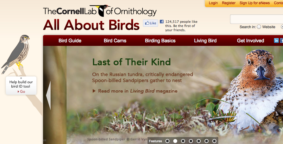 Webby Award Winner - All About Birds