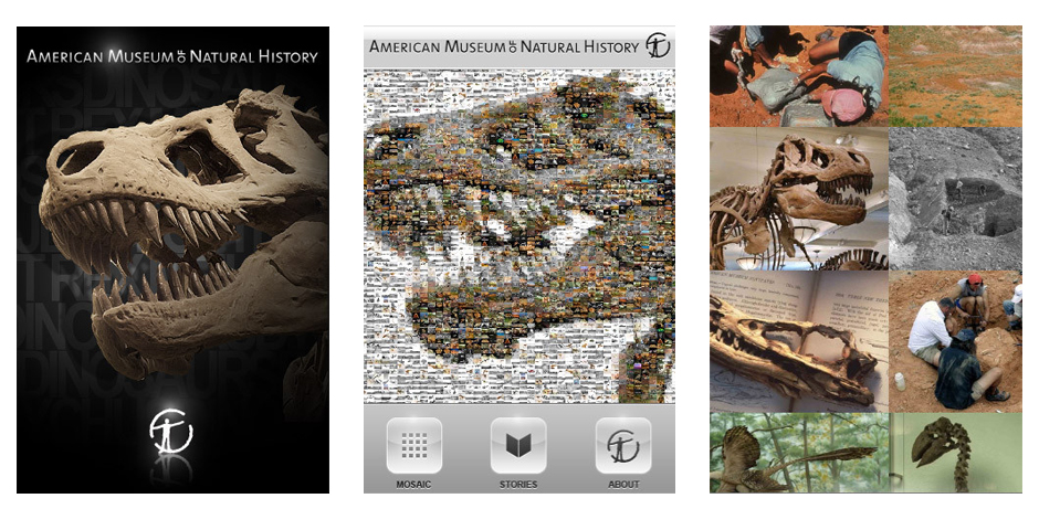 Nominee - Dinosaurs Collection