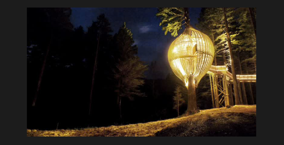 Webby Award Winner - The Yellow Treehouse