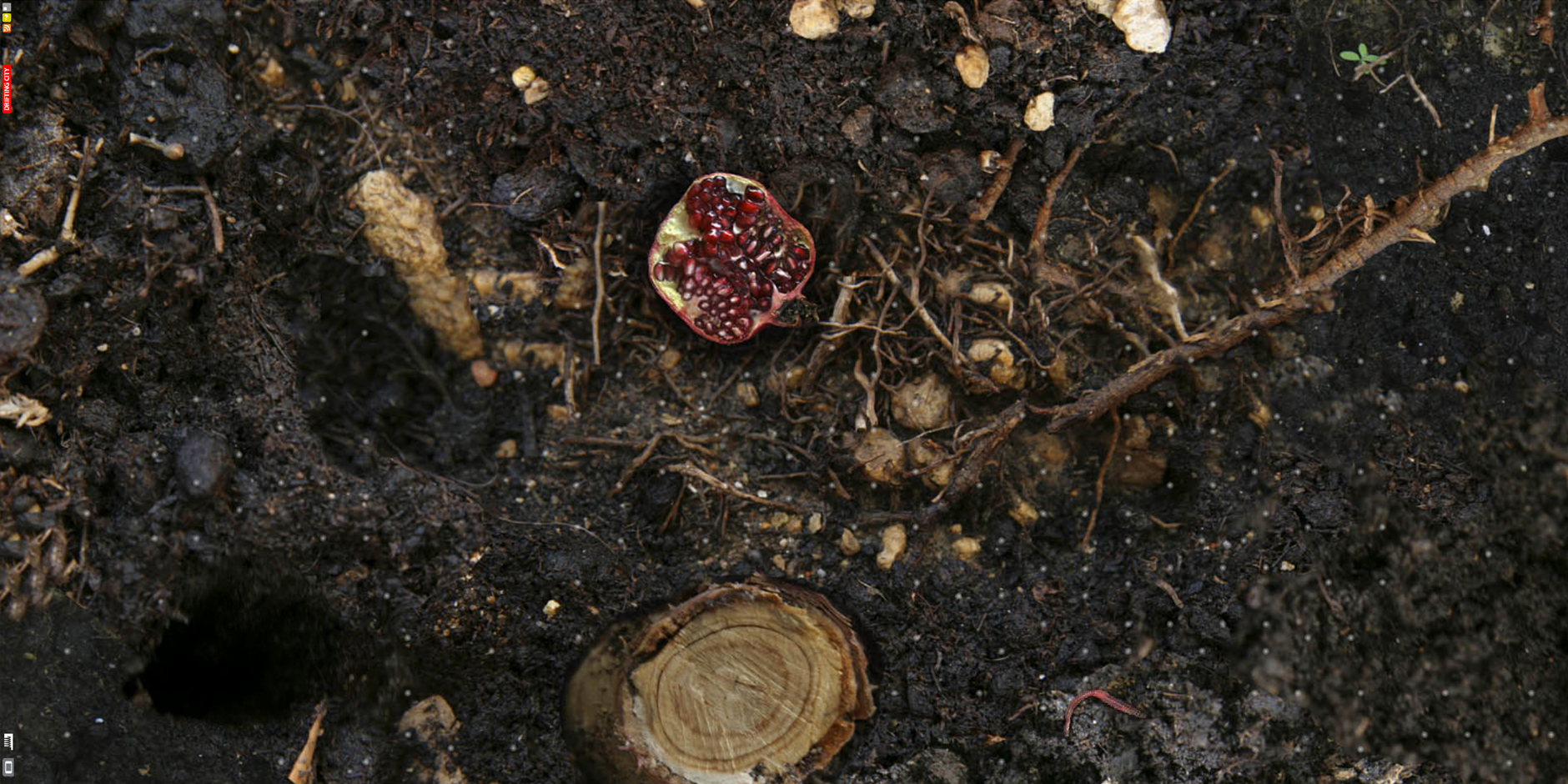 Webby Award Winner - Dreamgrove: webpage and interactive garden