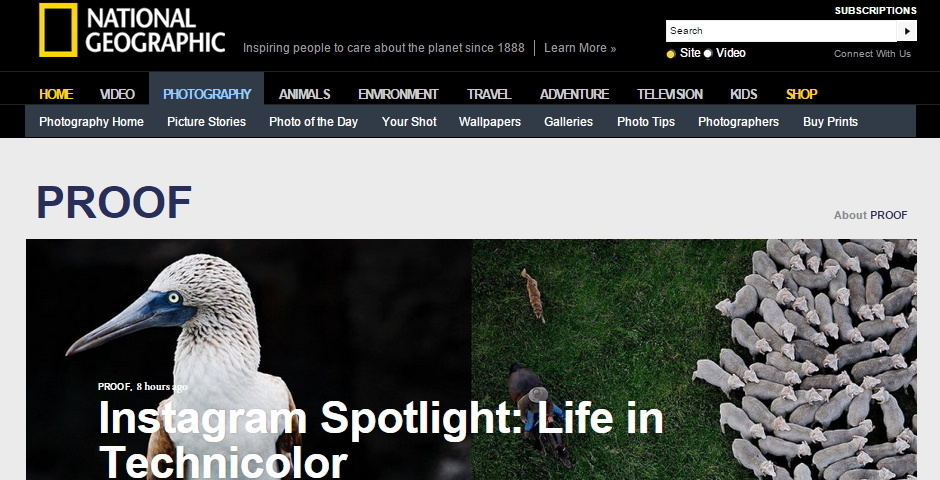 People's Voice - Proof: The Stories Behind the Photographs
