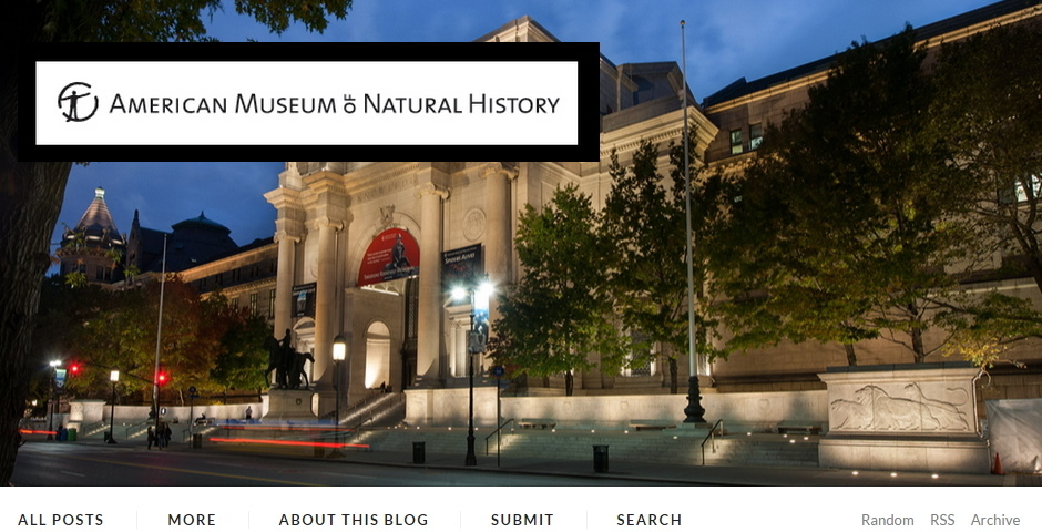 Nominee - #InsideAMNH