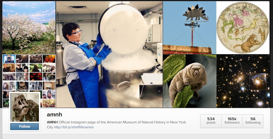 People's Voice - The American Museum of Natural History on Instagram