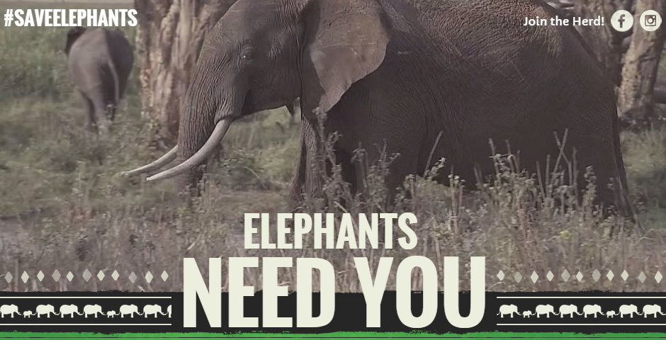 People's Voice - #SaveElephants