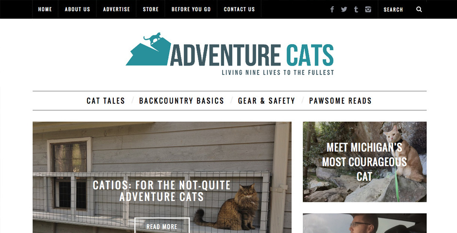 Nominee - Adventure Cats